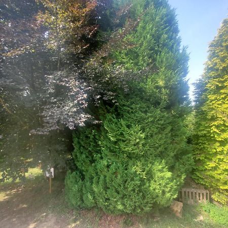 Camden House Bed & Breakfast Aubry-le-Panthou ภายนอก รูปภาพ